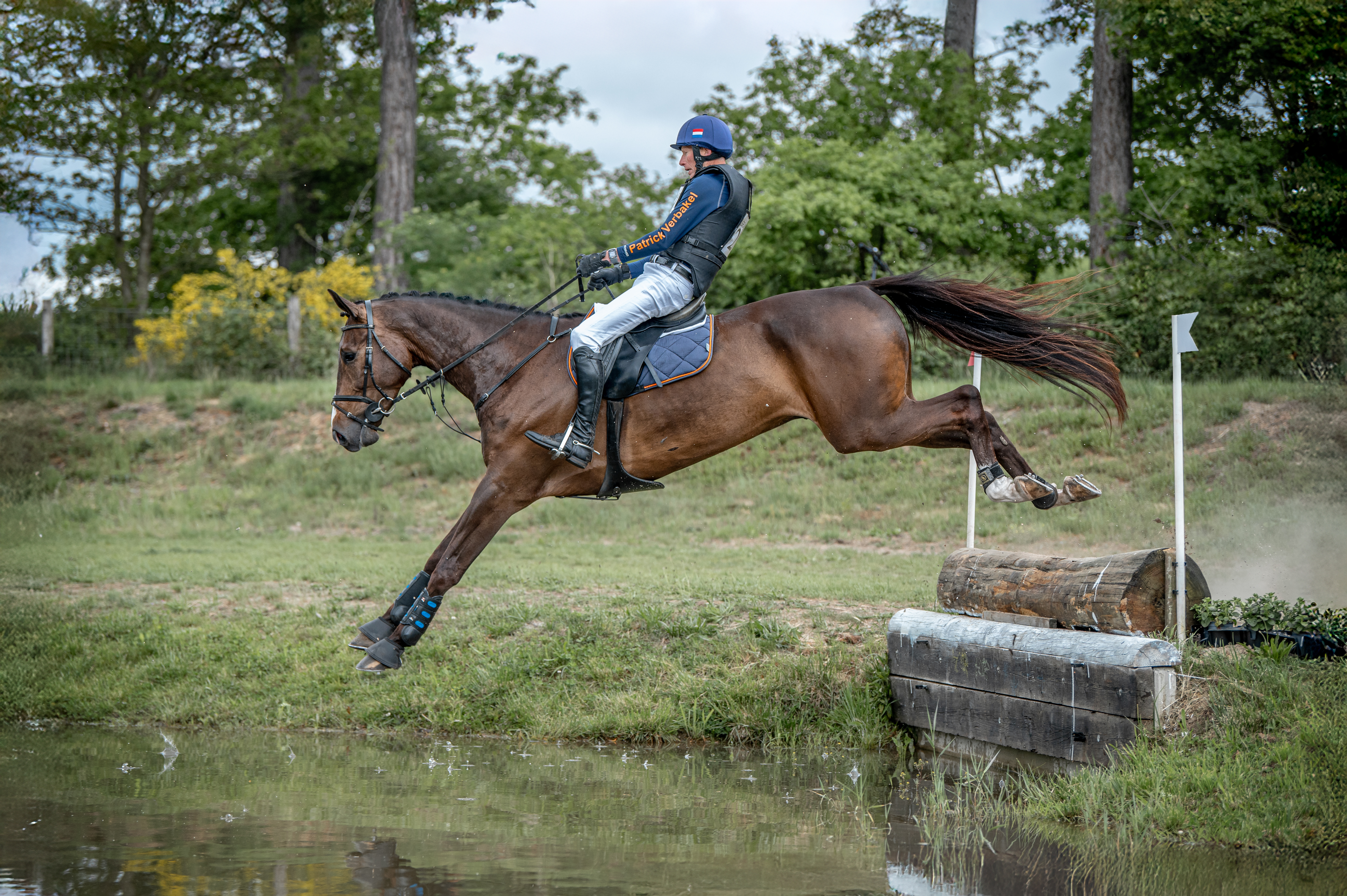 afbeelding 591954 bewerkt
